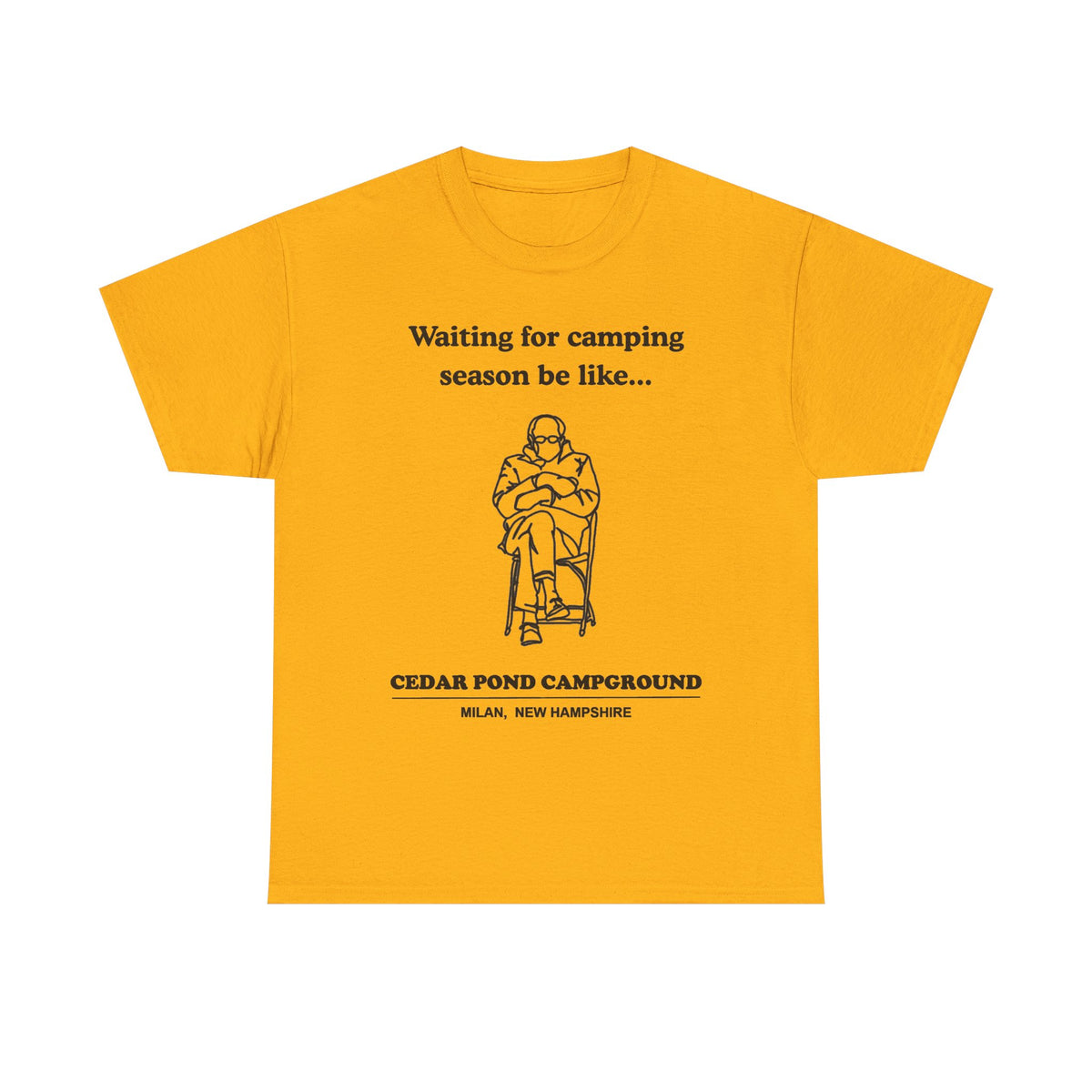 Unisex Heavy Cotton Tee
