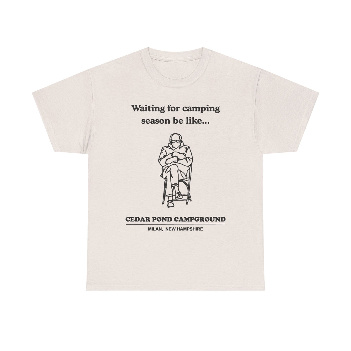 Unisex Heavy Cotton Tee