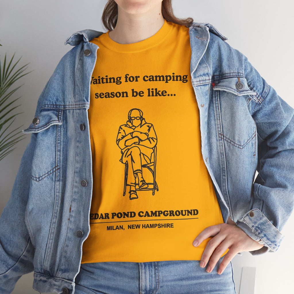 Unisex Heavy Cotton Tee